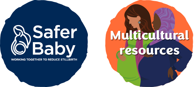 Safer Baby and Multicultural resources images which link to there corresponding websites.